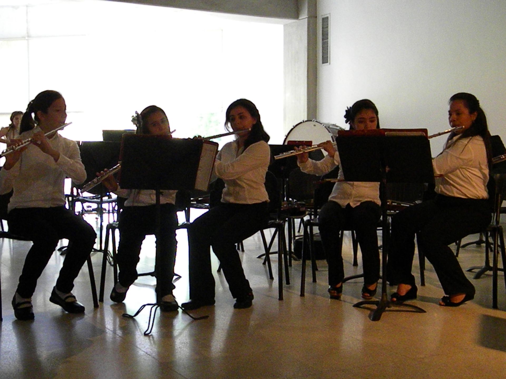 A group of women are playing flutes in a band