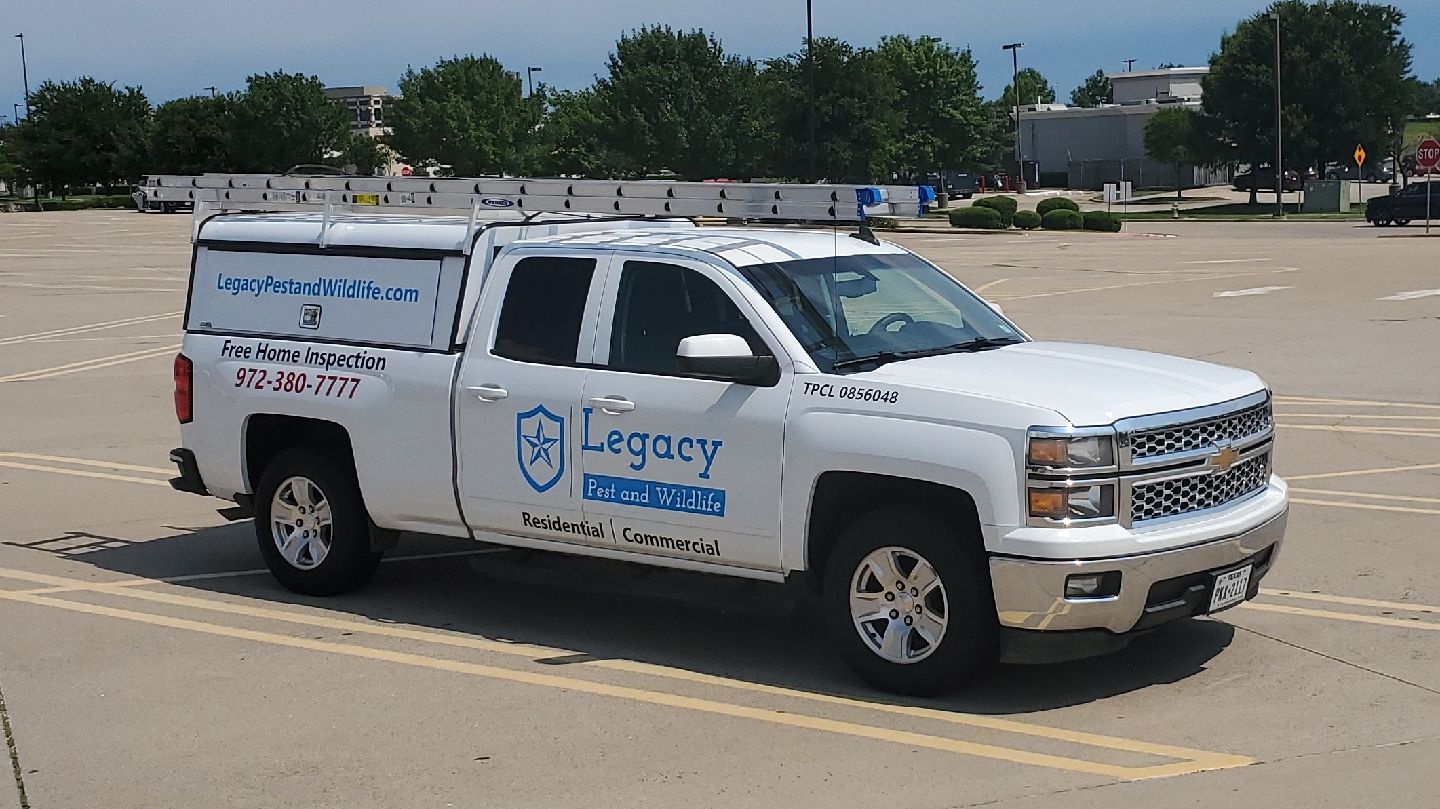 A white legacy truck is parked in a parking lot