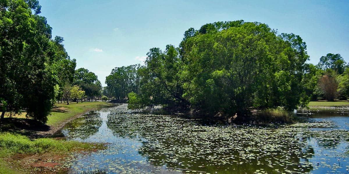 A Large Body Of Water Surrounded By Trees On A Sunny Day — TBR Mechanical in Palmerston, NT