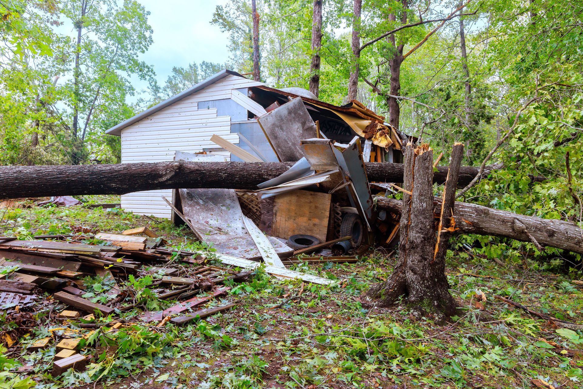 Destroyed white house crushed by fallen trees in a stormy wooded area