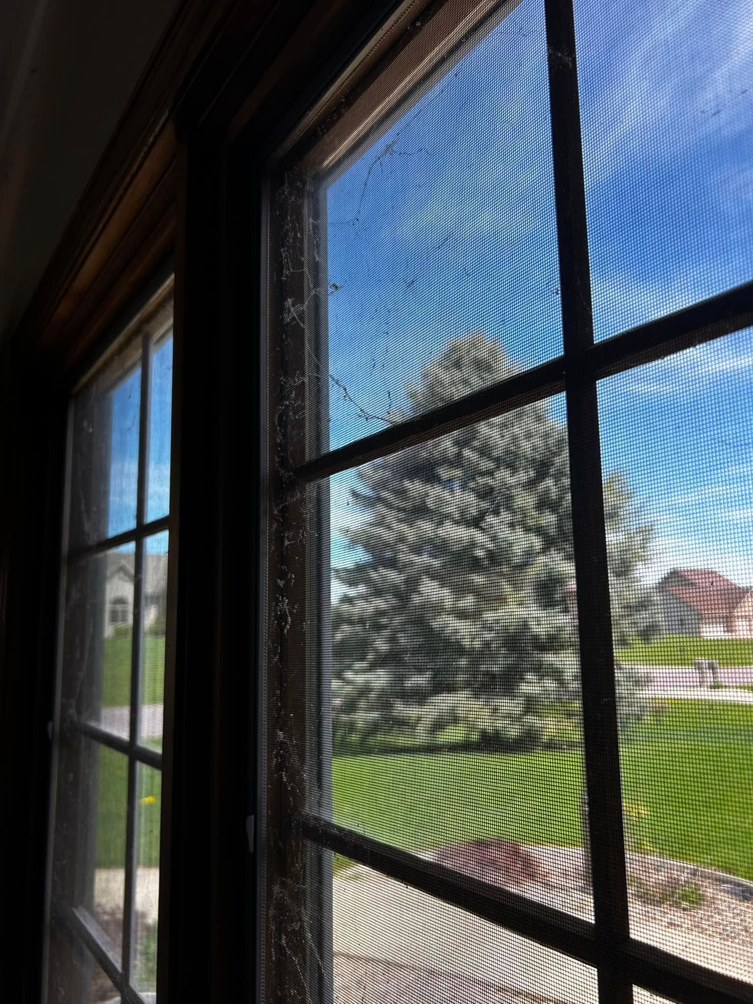 A view through a window screen shows a sunny outdoor scene with a evergreen tree, green grass, and houses.