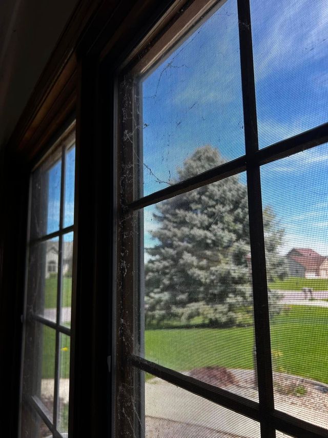 A view through a window screen shows a sunny outdoor scene with a evergreen tree, green grass, and houses.