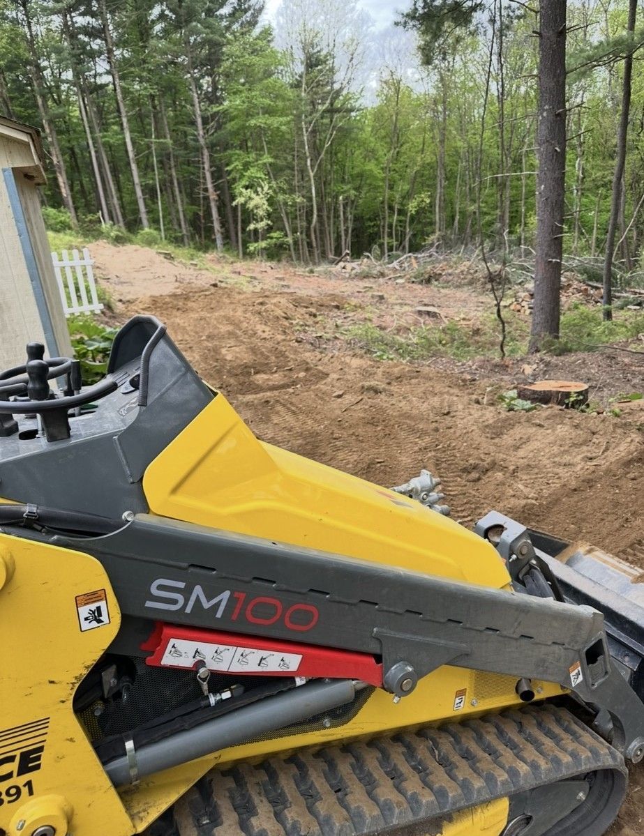 Yellow and black Wacker Neuson SM100 skid steer on dirt, clearing a wooded area.
