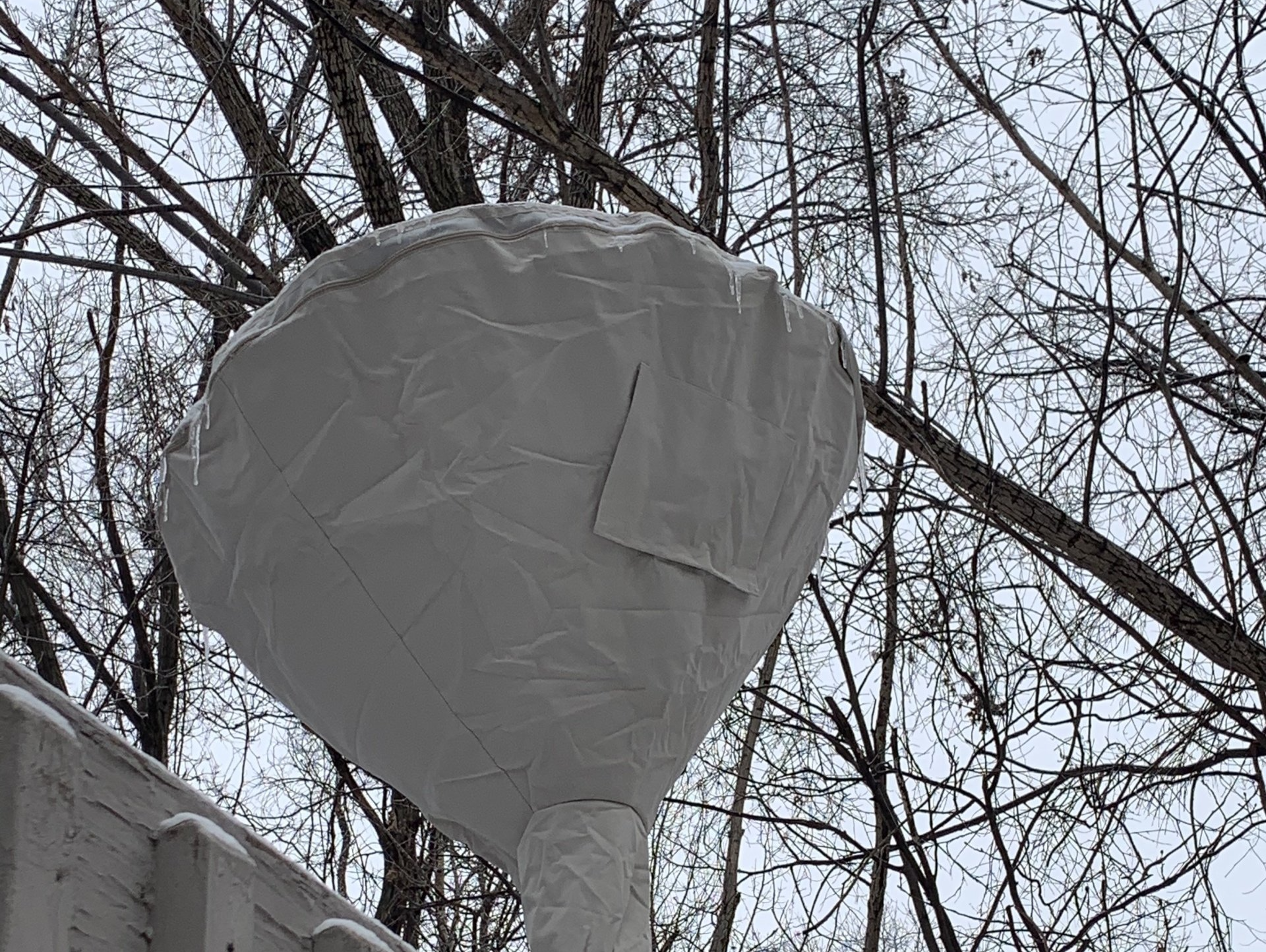 A water spigot wrapped in gray plastic and tape, with tree branches in the background.