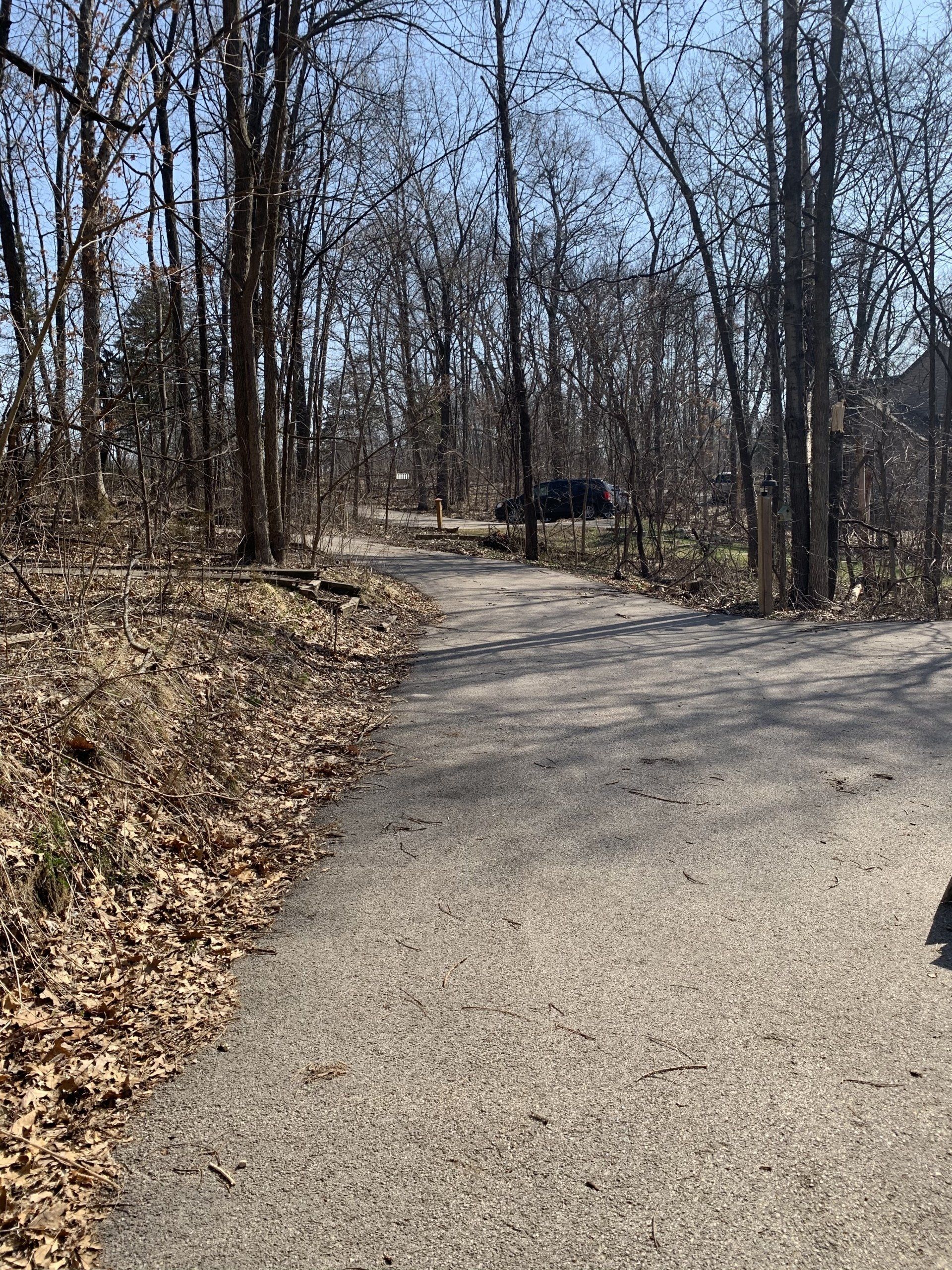 Paved path curves through a leafless forest on a sunny day. A dark vehicle is visible down the path.