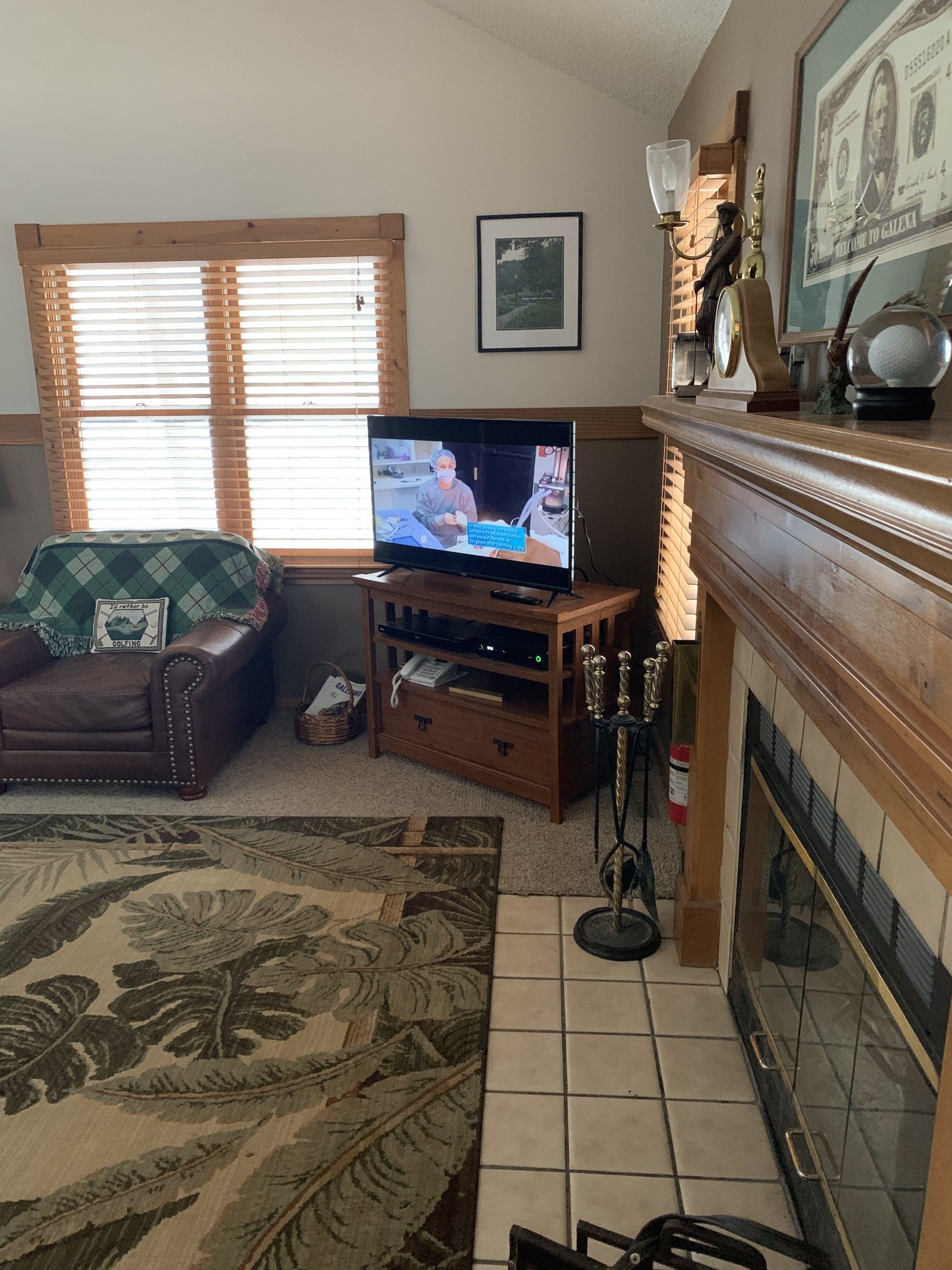Living room with TV on wooden stand, fireplace, leather chair, and rug with leaf pattern.