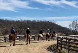 People riding horses along a dirt path, with a fence on one side and a wooded hill in the background.