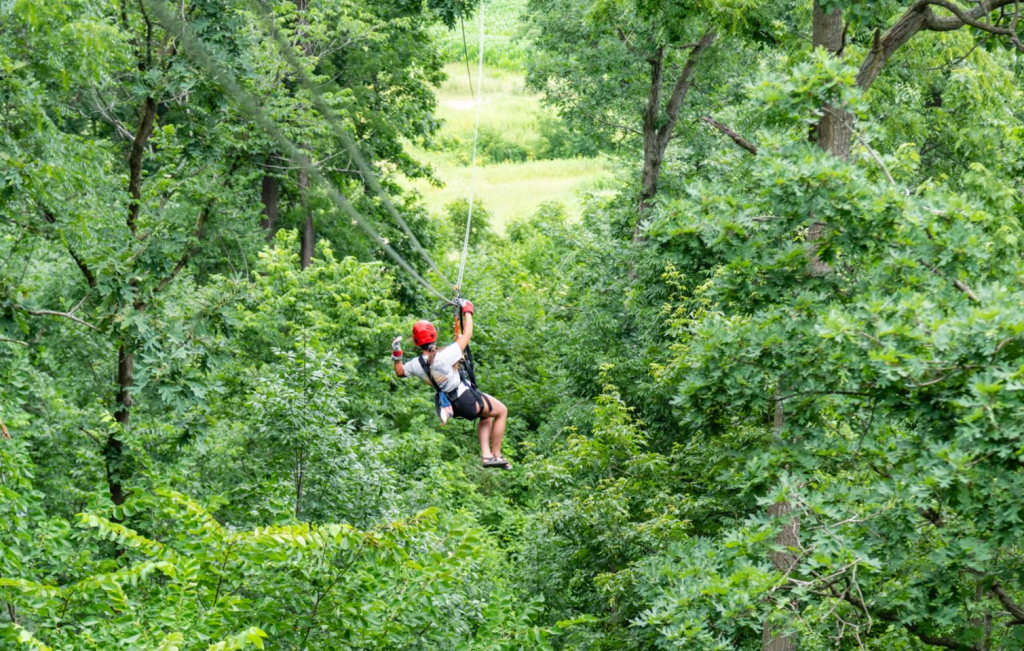 Person on zip line, attached to harness, soaring through trees.