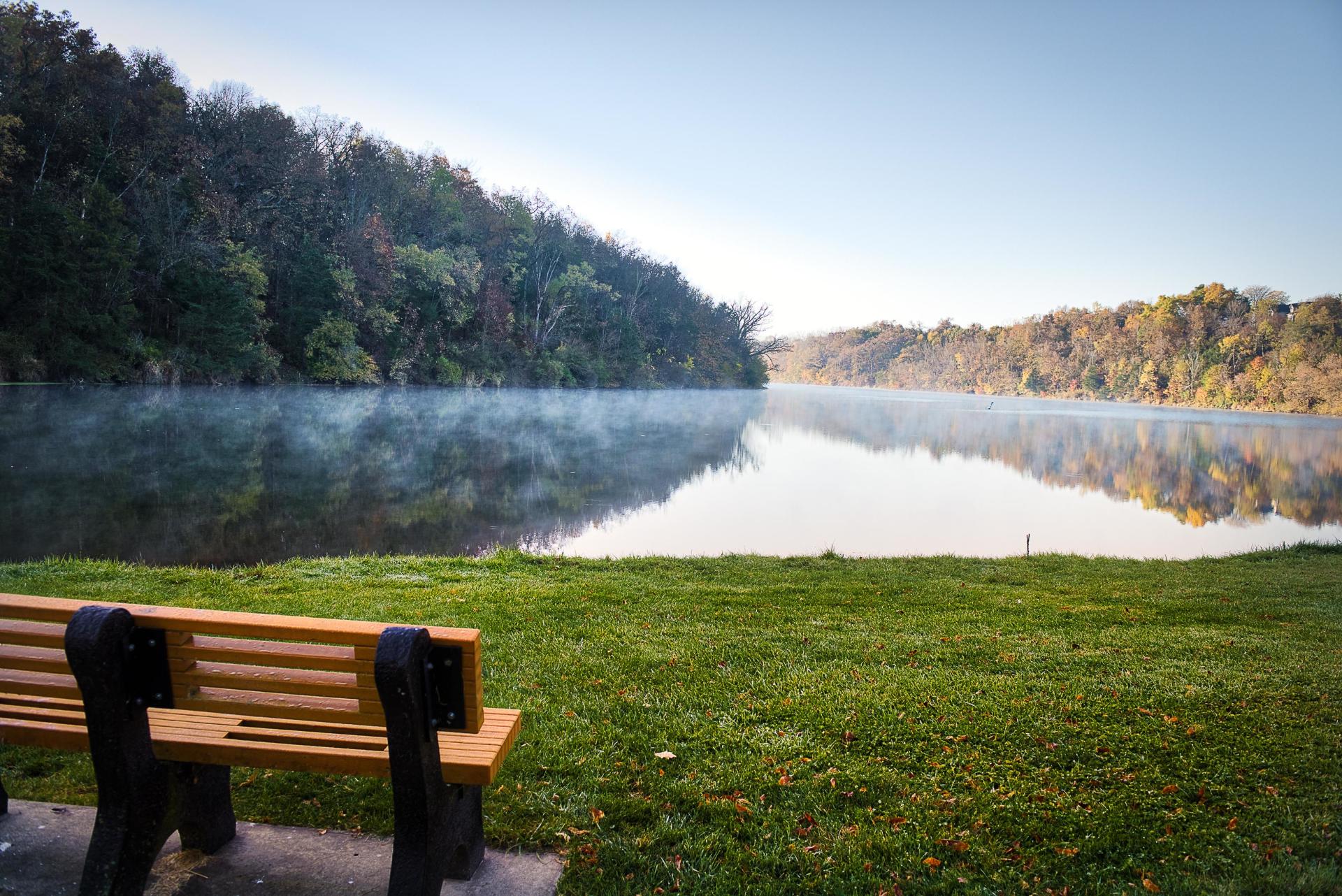 Bench overlooking a misty lake, surrounded by trees and green grass on a sunny day.