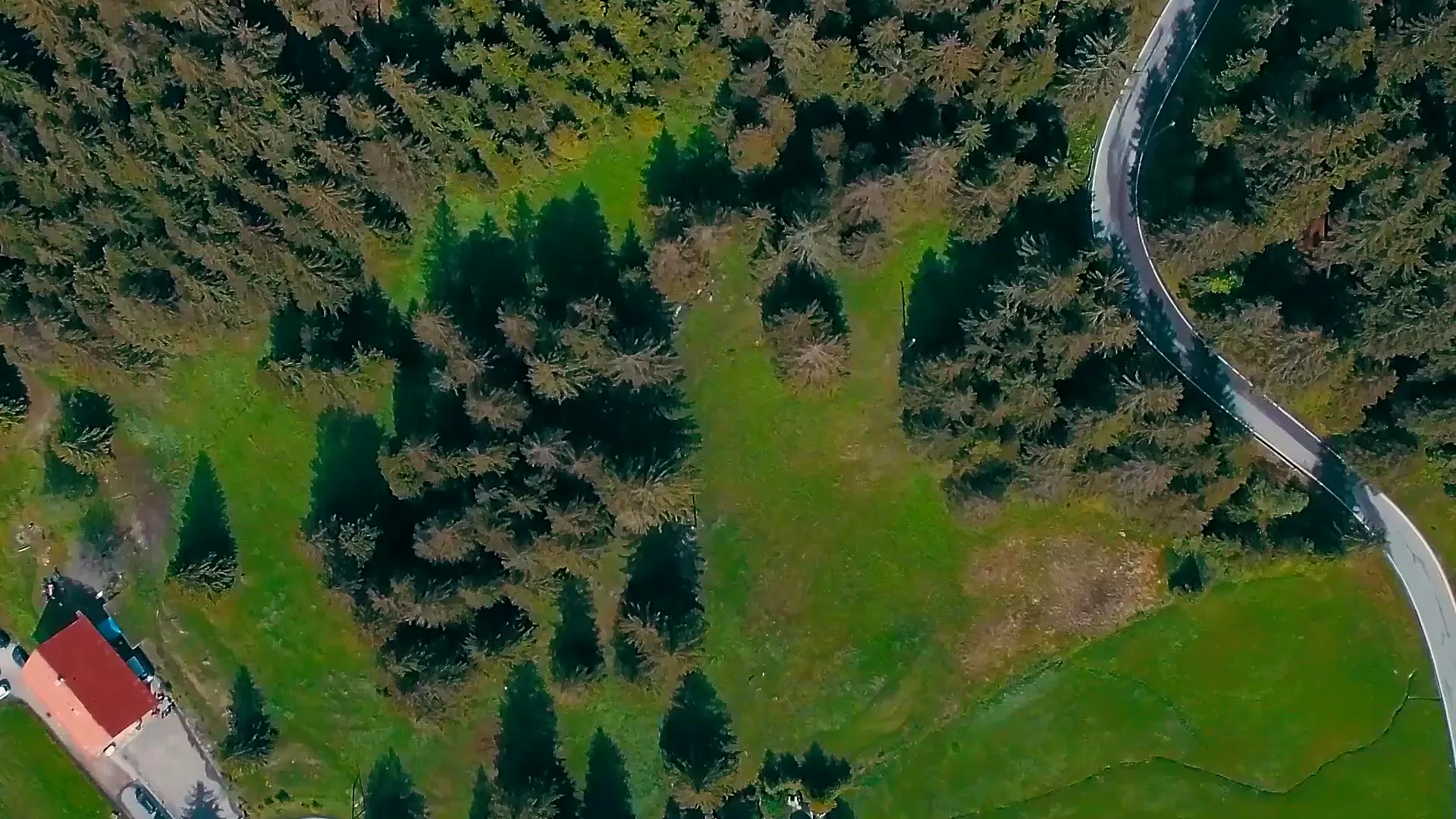 Aerial view of a green field with trees, a curved road, and a building with a red roof.
