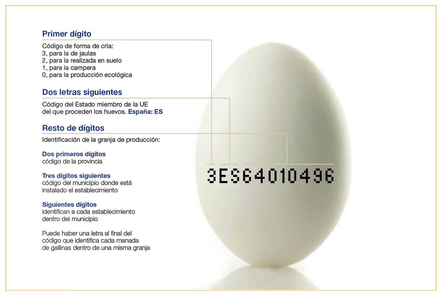Un huevo blanco con el número 3es64010496