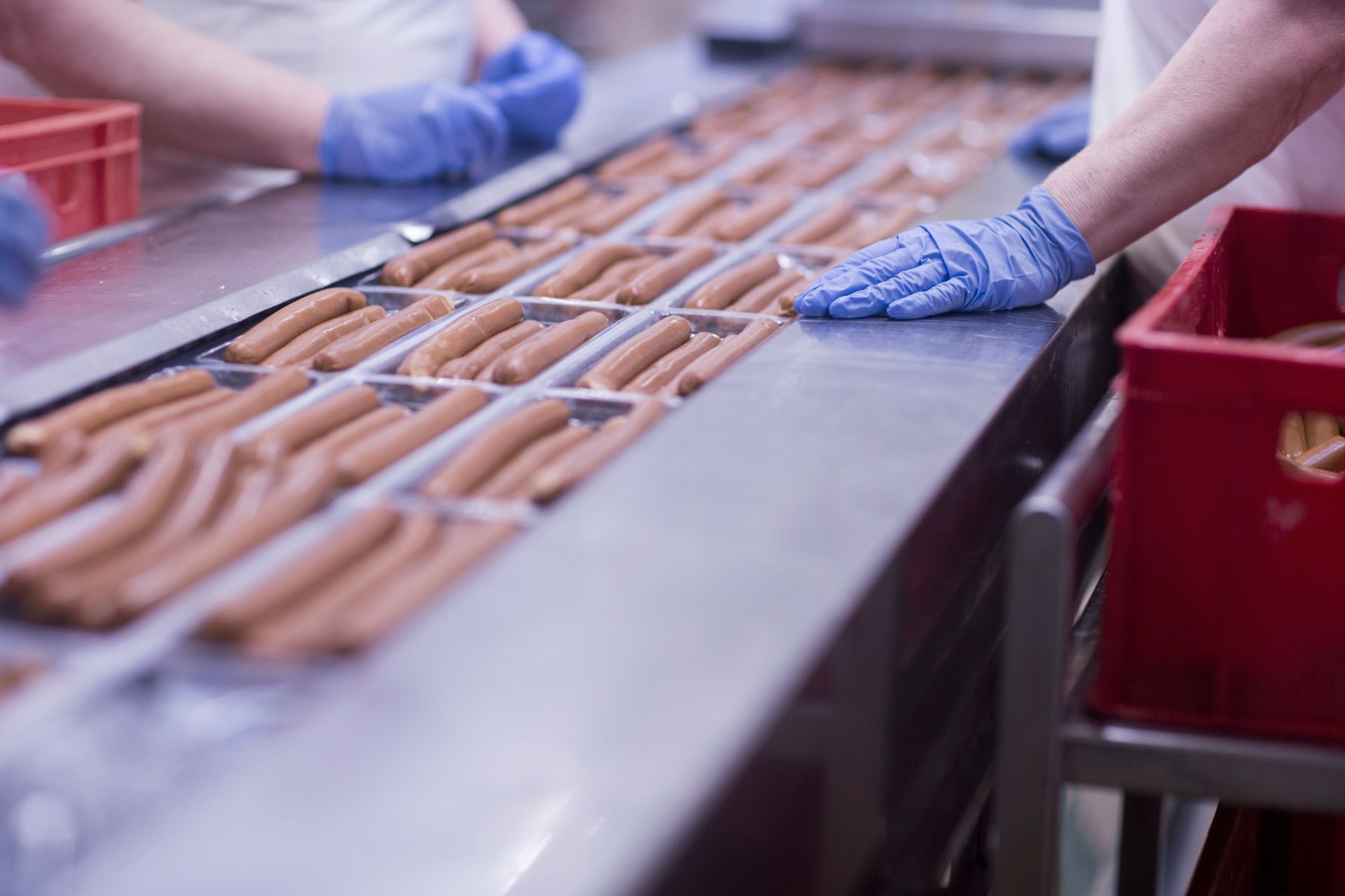 Obreros con guantes azules inspeccionan salchichas en una cinta transportadora de una fábrica.