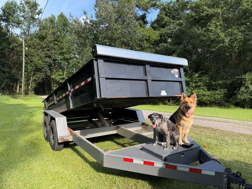 Two dogs sit on the hitch of a large black dump trailer in a grassy, wooded area on a sunny day.