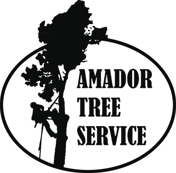 A black and white logo for amador tree service