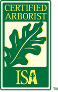 A tree care industry association certified treecare safety professional logo