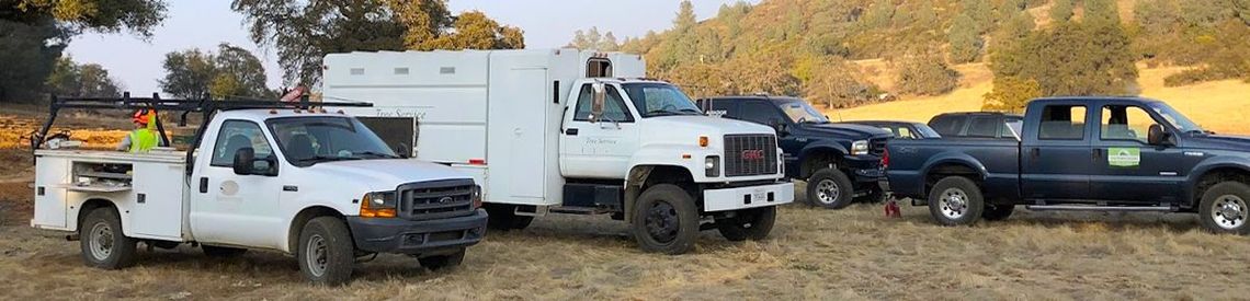 A group of trucks are parked in a field.