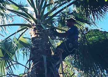 A group of men are sitting on a rock with a chainsaw.