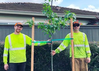 Two men are standing next to a tree in front of a house.