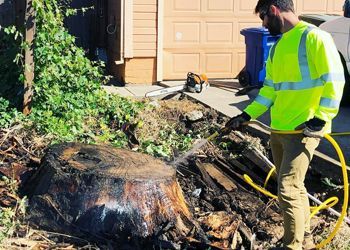 A man is spraying a tree stump with a hose.