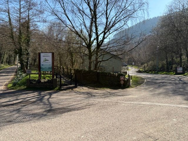 Forest Drive Carpark