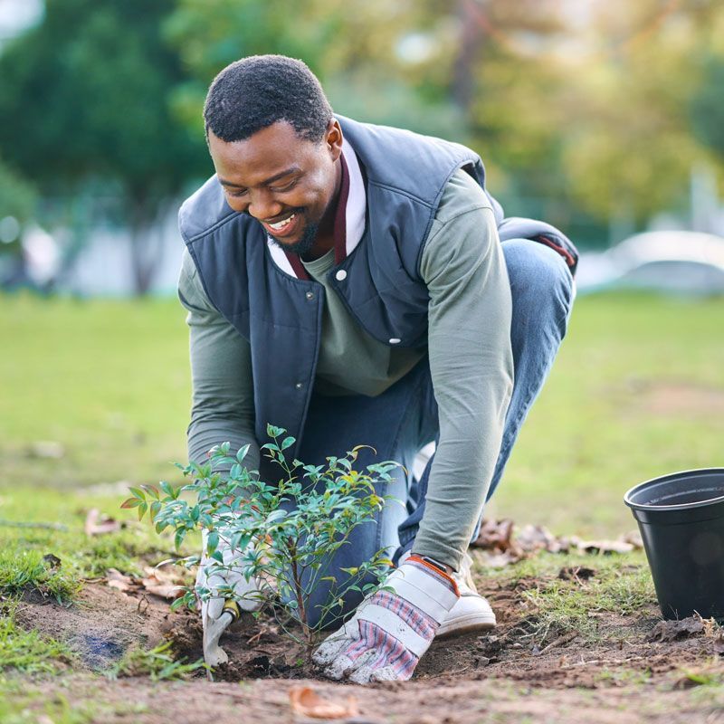 Gardener planting a small shrub in a grassy garden, kneeling with gloves and smiling