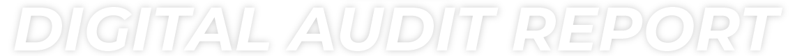 Digital Audit Report Digital Audit Report