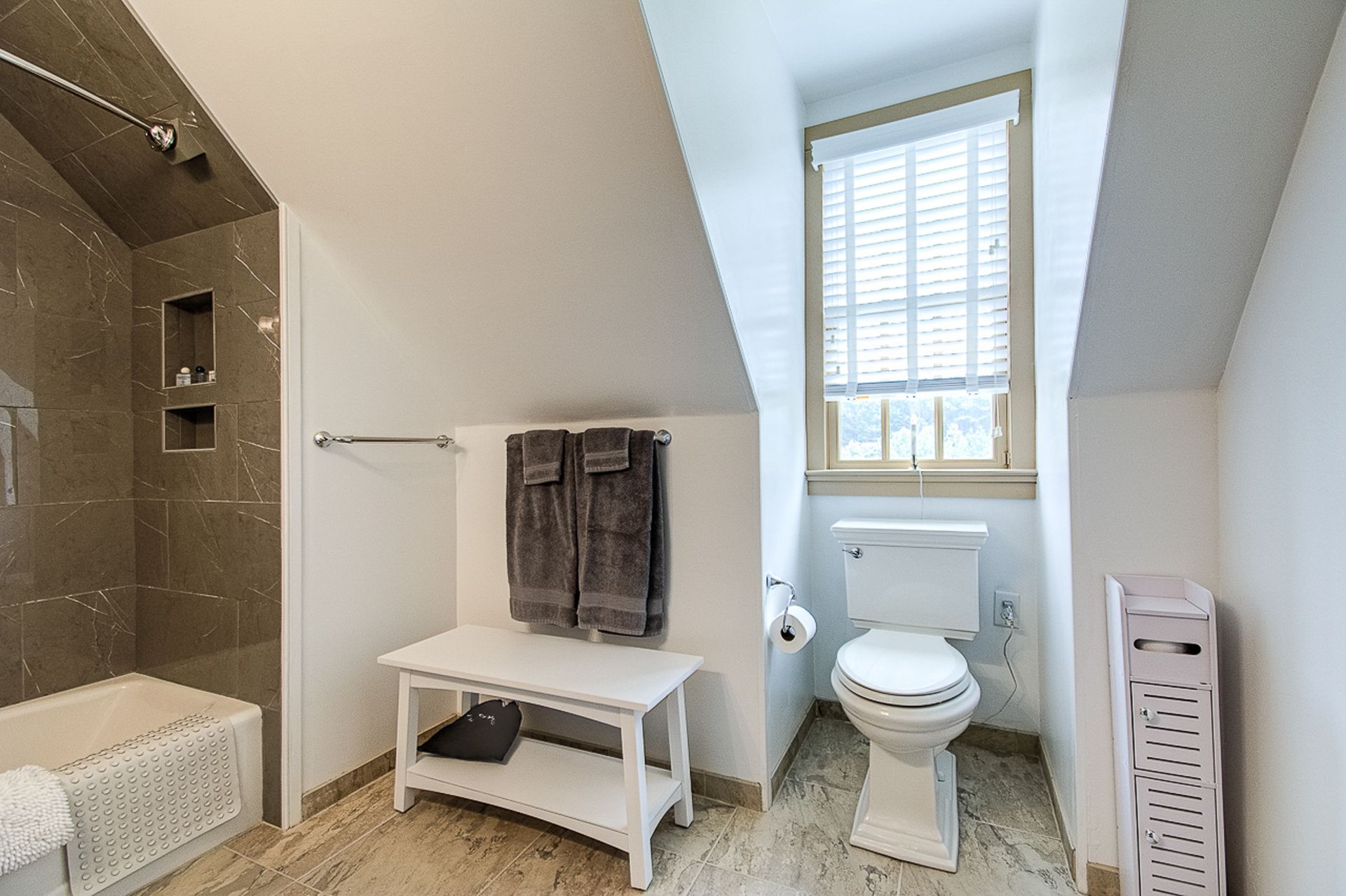 This is a photo of the Tan Room bathroom at the BNB.