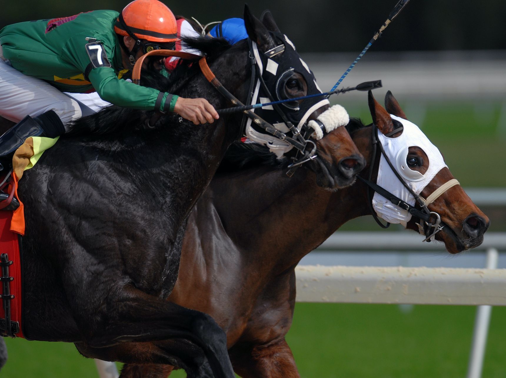 This is a photo close up of two horses in a horse race.