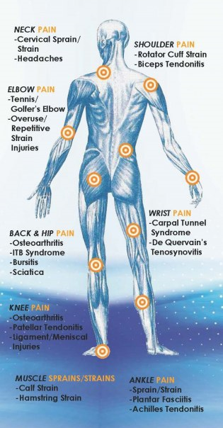 Diagram of human figure, highlighting areas of pain: neck, shoulder, elbow, wrist, back & hip
