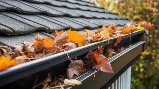 Gutter full of orange autumn leaves along a gray shingled roof