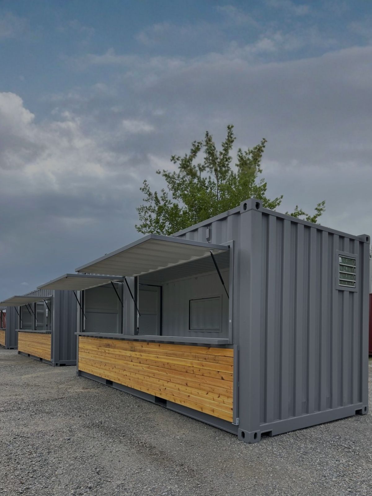 Modified container
