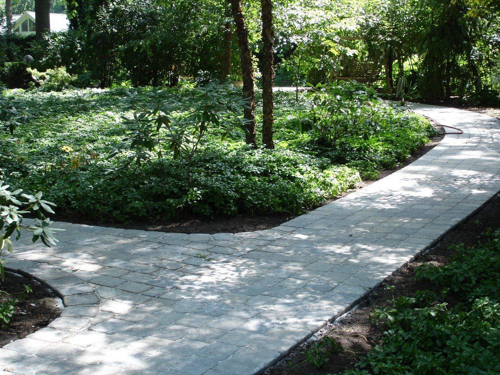 Gravel path curves through a lush garden with trees and ground cover.