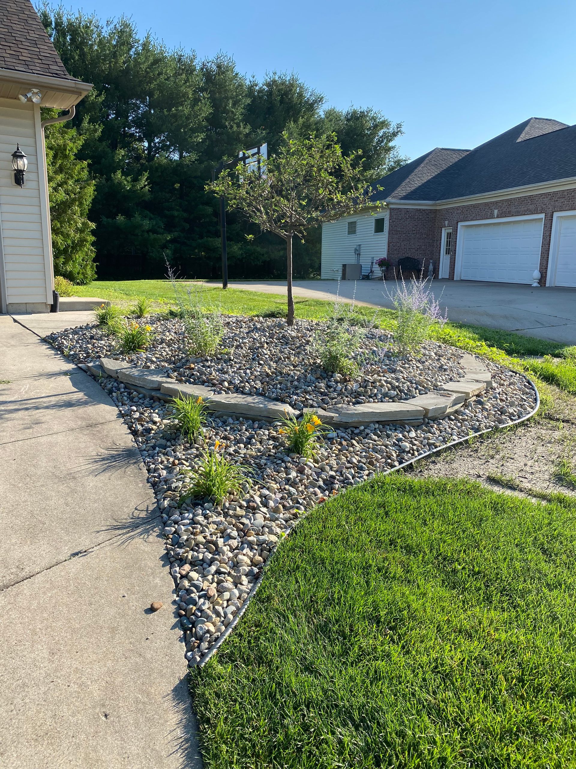 A small tree sits in a circular, rock-covered garden bed bordered by stones next to a concrete driveway and green grass.