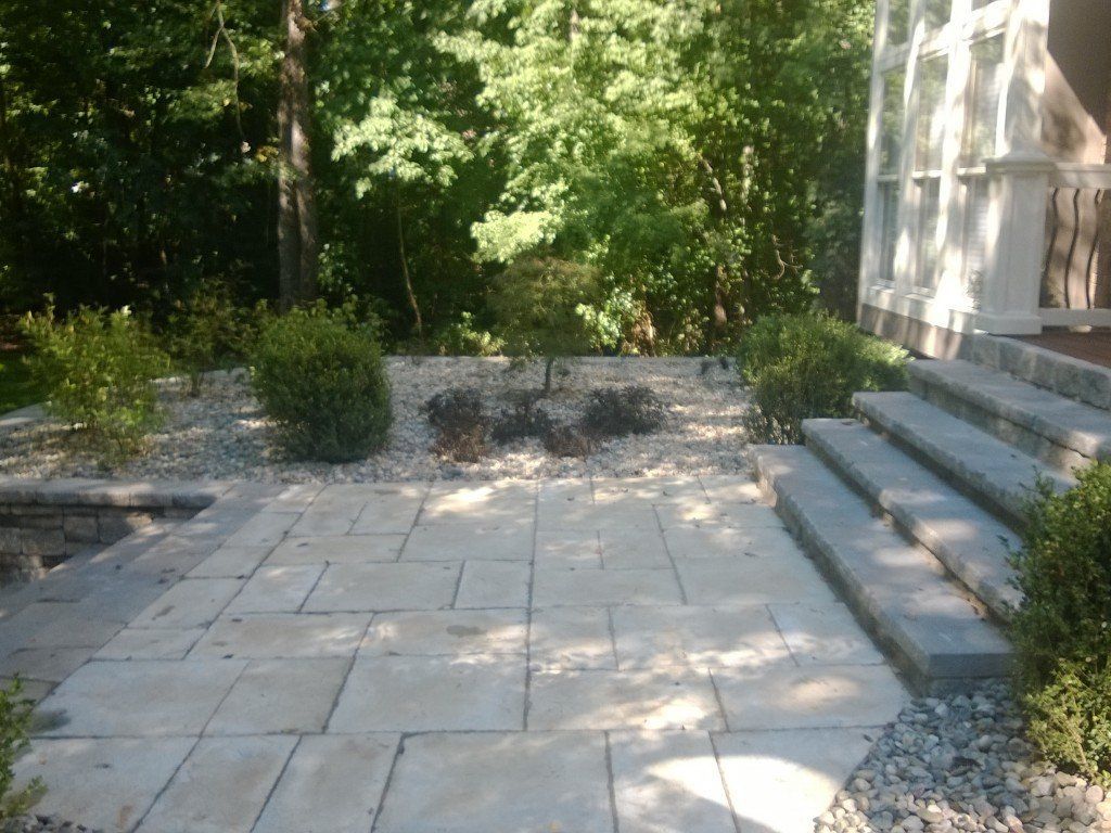 Stone patio with steps and landscaping, with bushes and trees in the background.