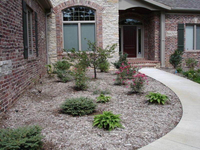 Front yard landscaping with various shrubs and mulch, next to a brick house and curved sidewalk.