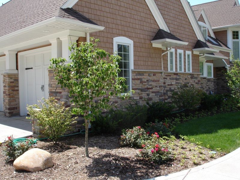 A house with a garage and landscaped front yard with a small tree and bushes.