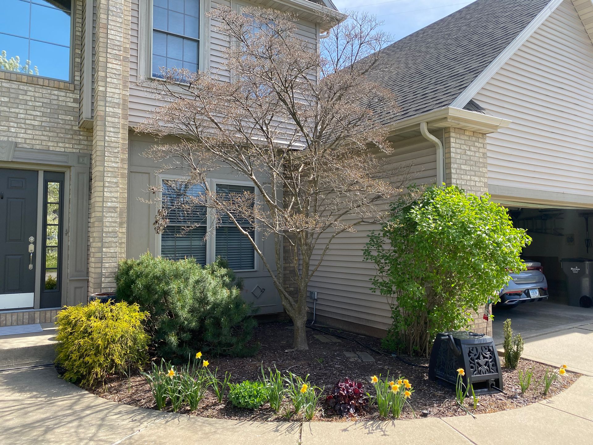 A suburban house exterior with a central tree, green shrubs, yellow flowers, and a dark garage entrance.