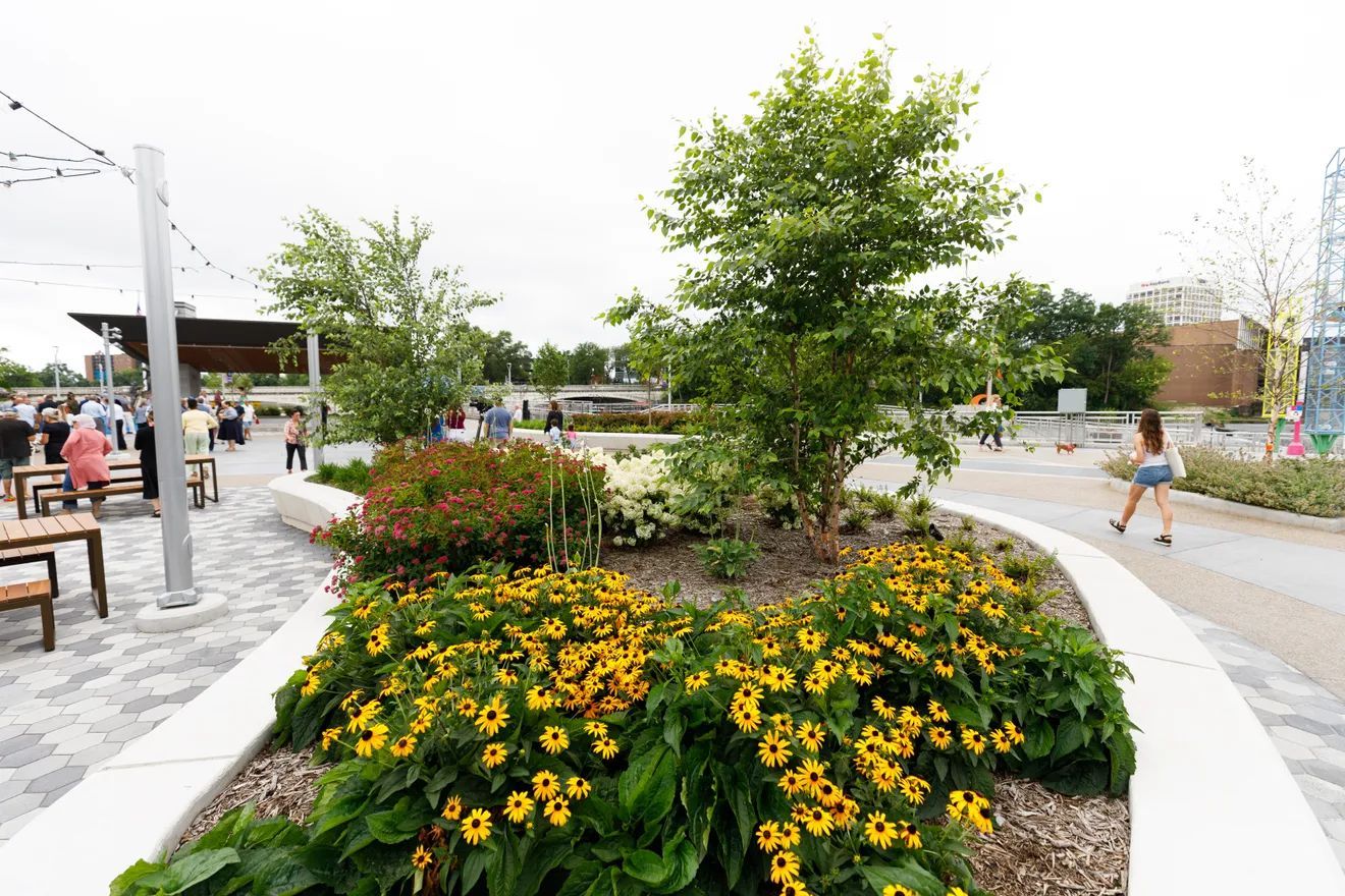 A landscaped garden bed with yellow black-eyed Susan flowers in a public park plaza with benches and people walking by.