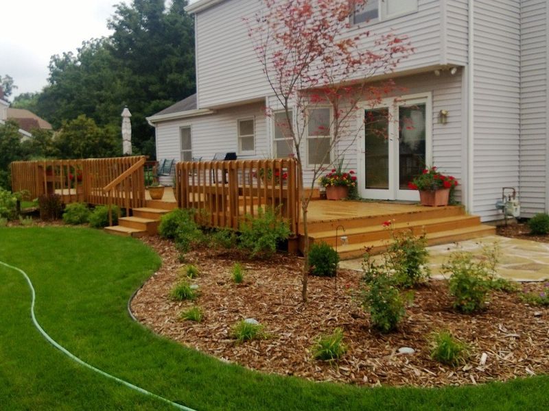 Wooden deck with steps, surrounded by landscaping and lush green grass, next to a two-story house.