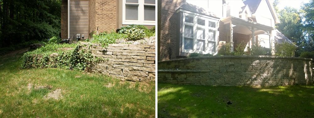 Side-by-side view of a house. One side has grass and overgrown vegetation, the other has a well-manicured lawn.