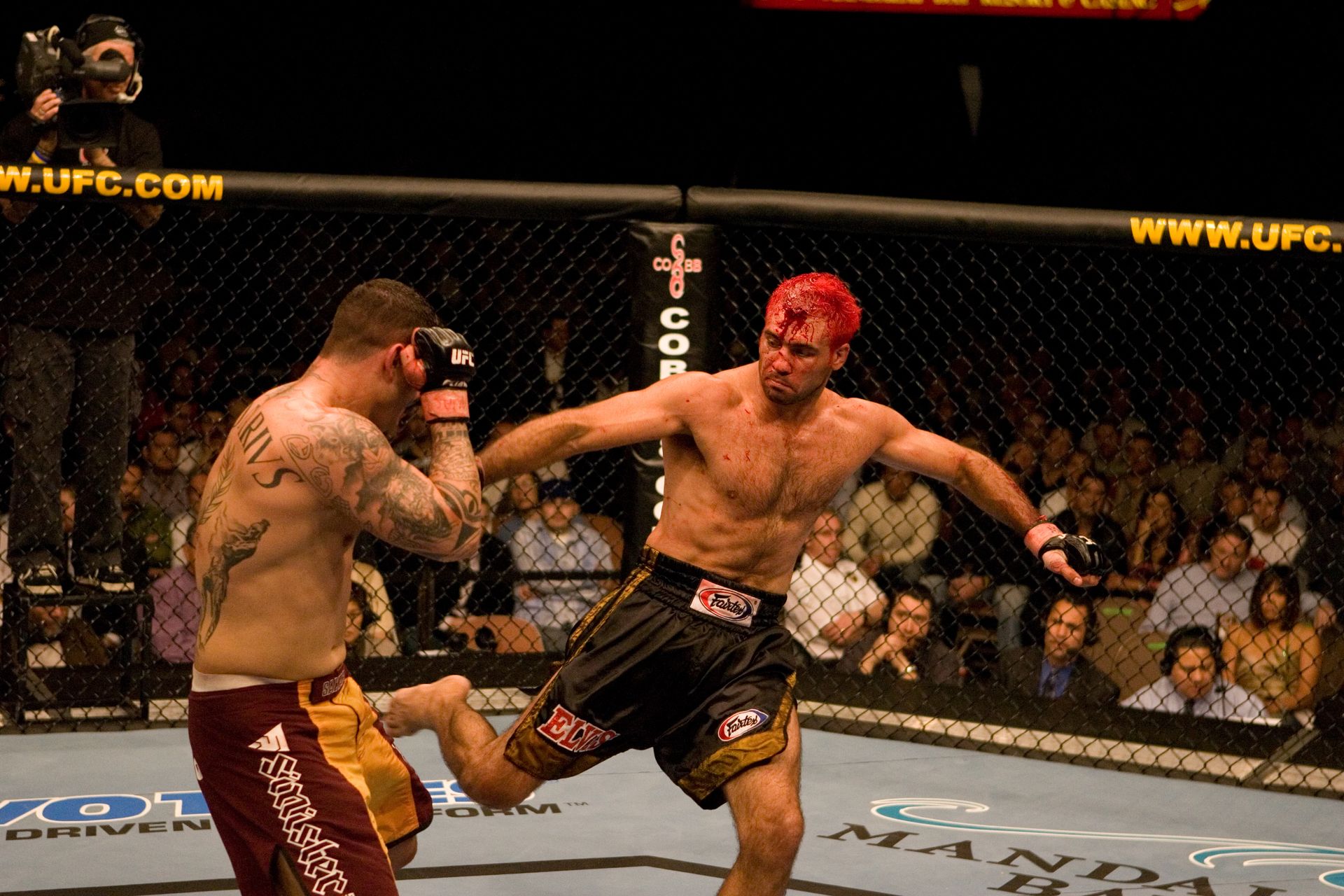 Elvis Sinosic fighting Alessio Sakara in the UFC