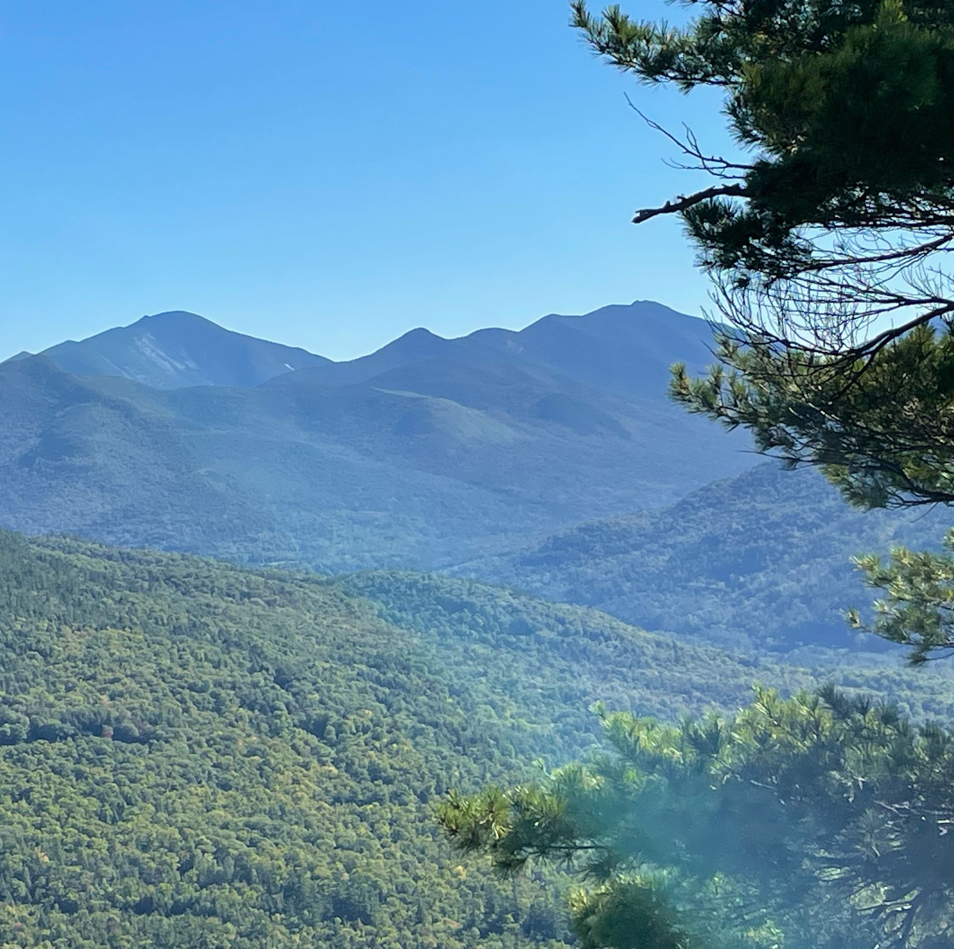A view of a mountain range with trees in the foreground