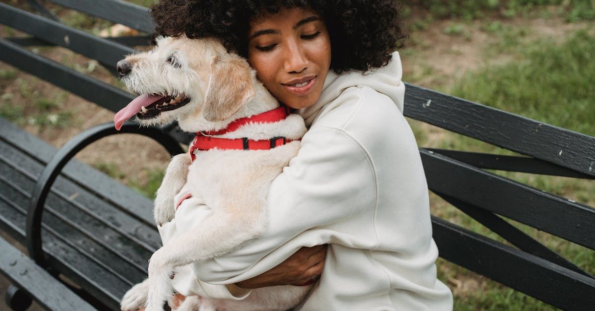 A woman is sitting on a park bench holding a dog.