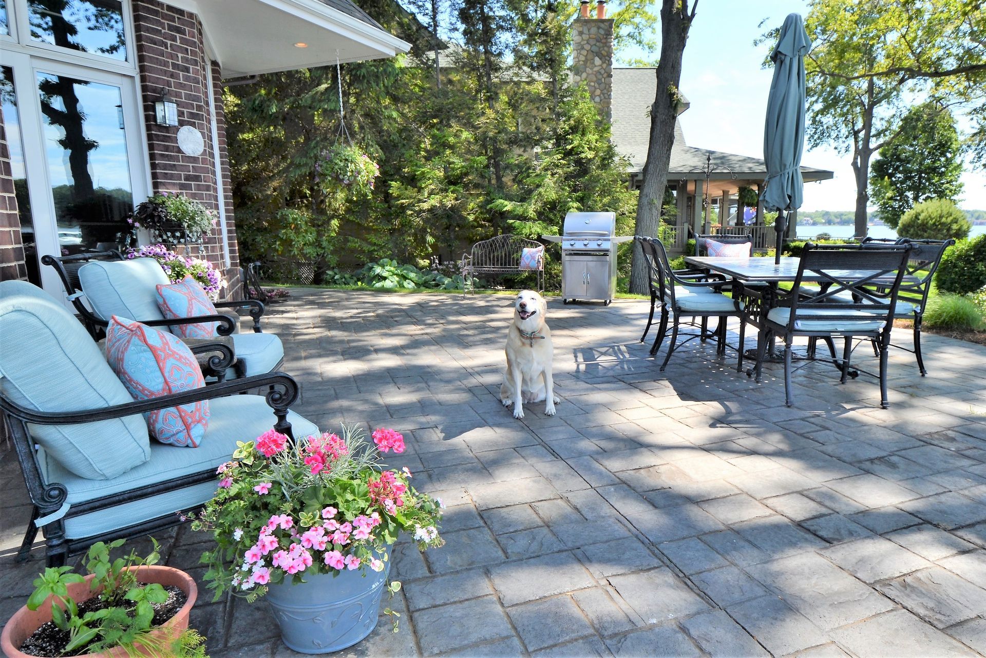 Sunlit patio with a small dog, outdoor table and chairs, and potted pink flowers возле a house