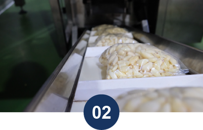 Garlic
