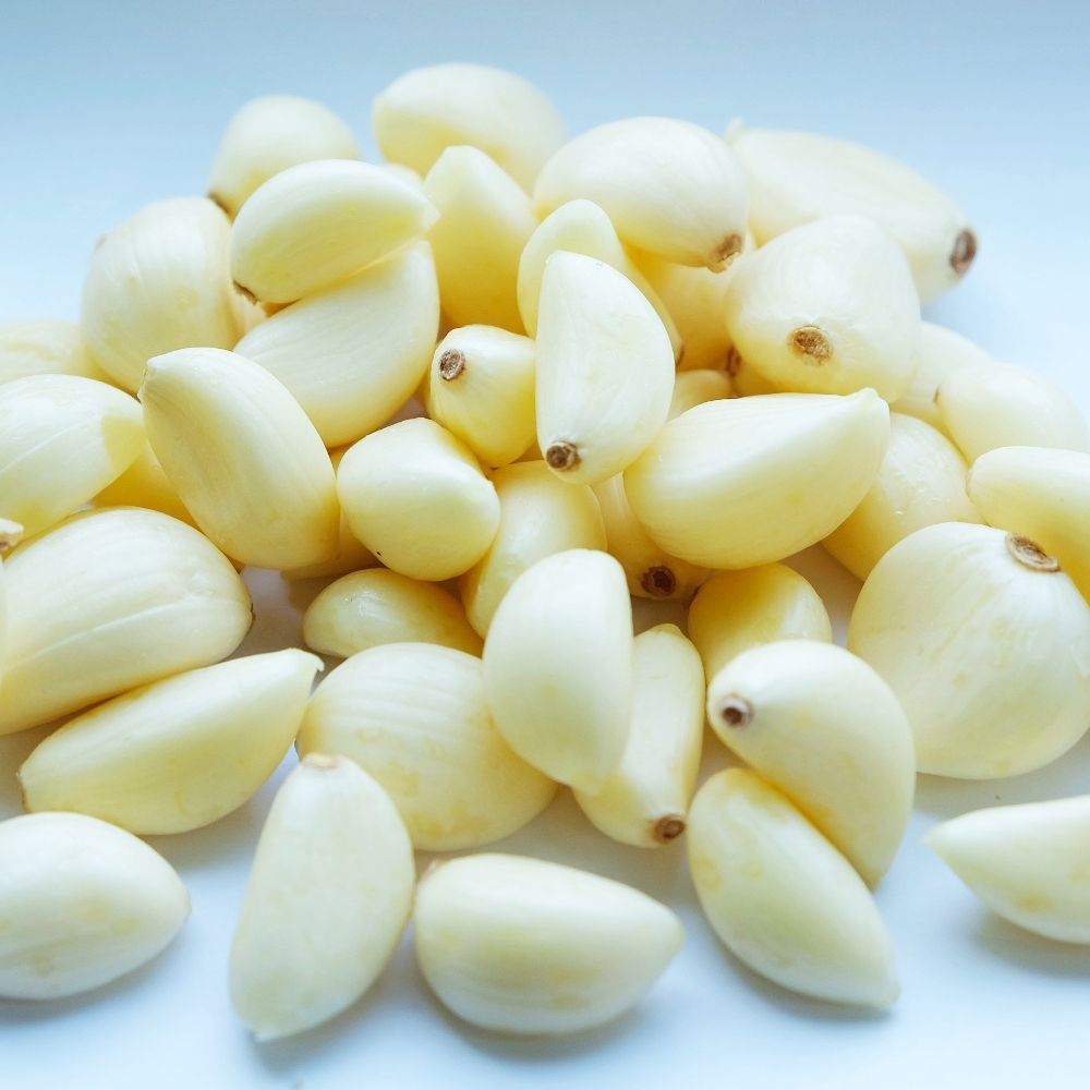 Garlic