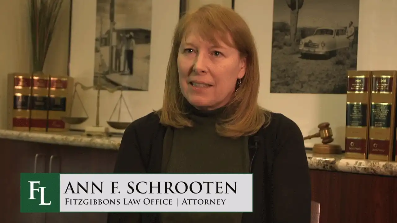 Ann Schrooten video