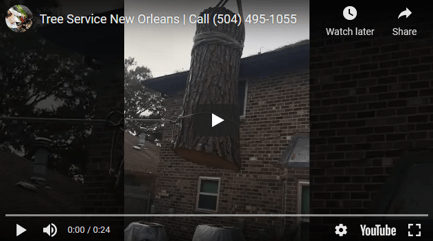 A video of a tree being removed from a brick house