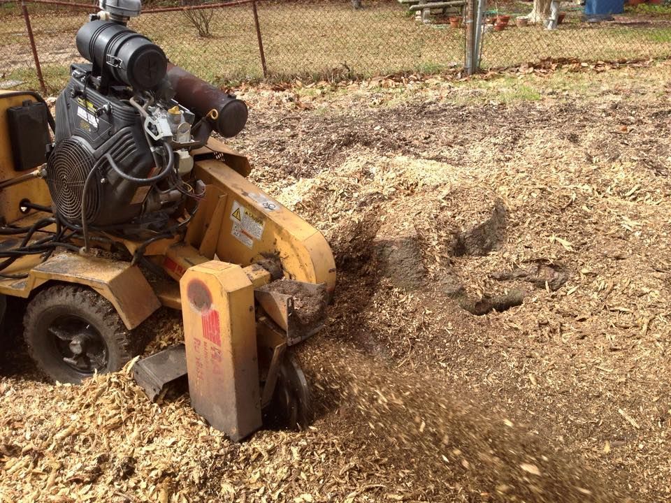A stump grinder is being used to remove a tree stump.