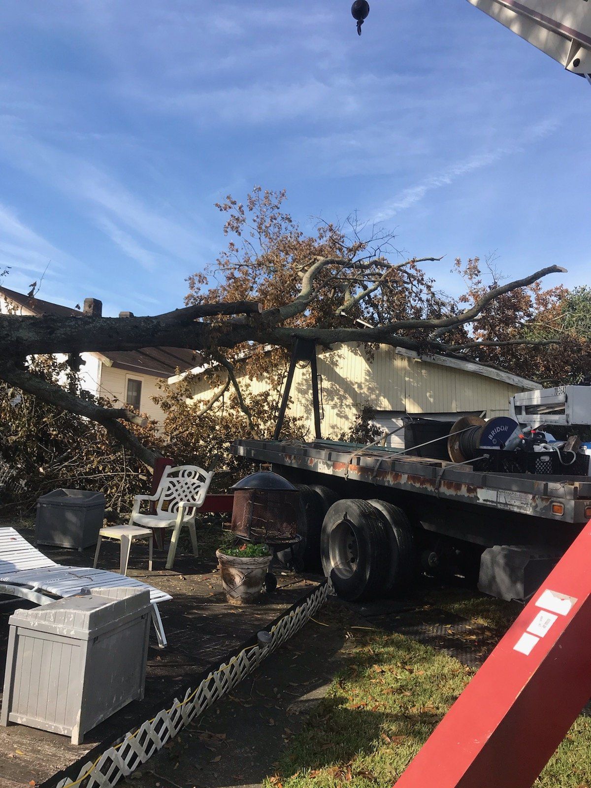 A tow truck with a tree on the back of it